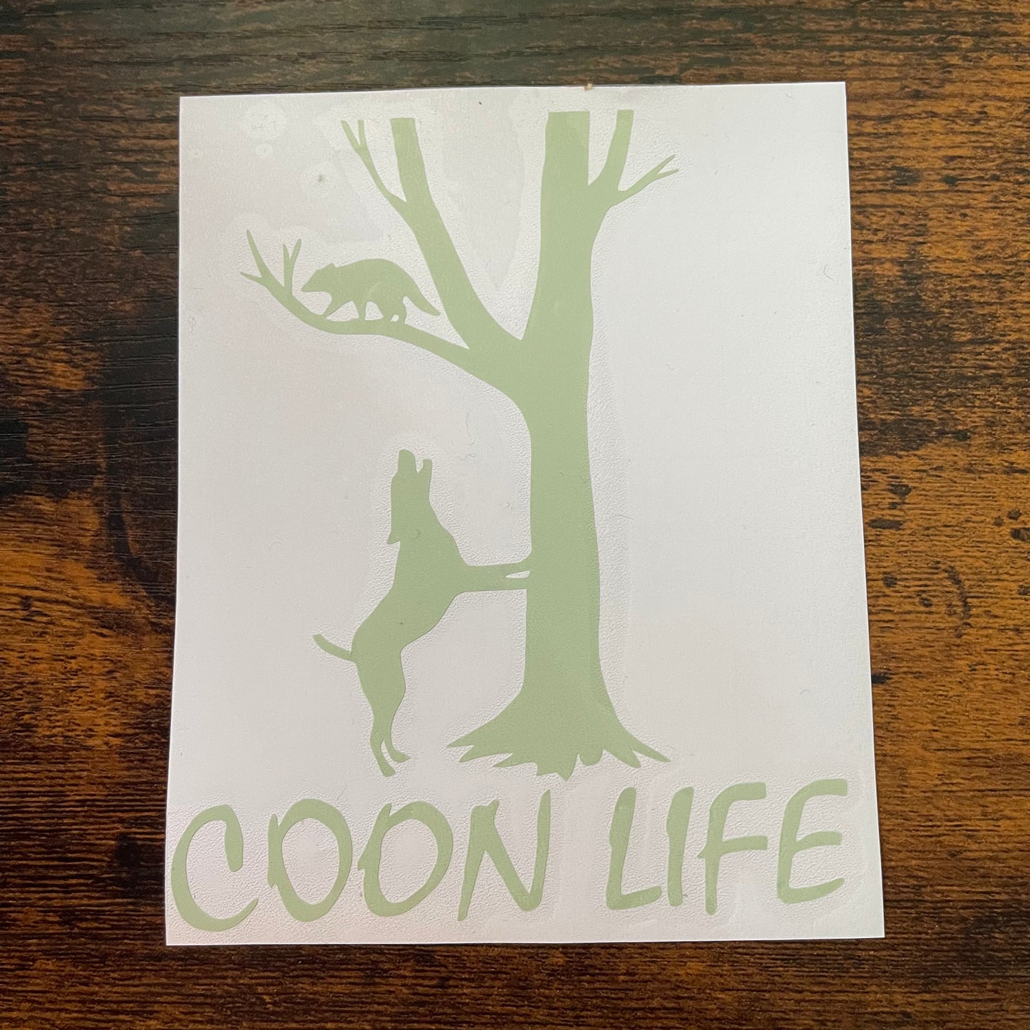 Coon Life 4" Pale Green Decal (READY TO SHIP!)