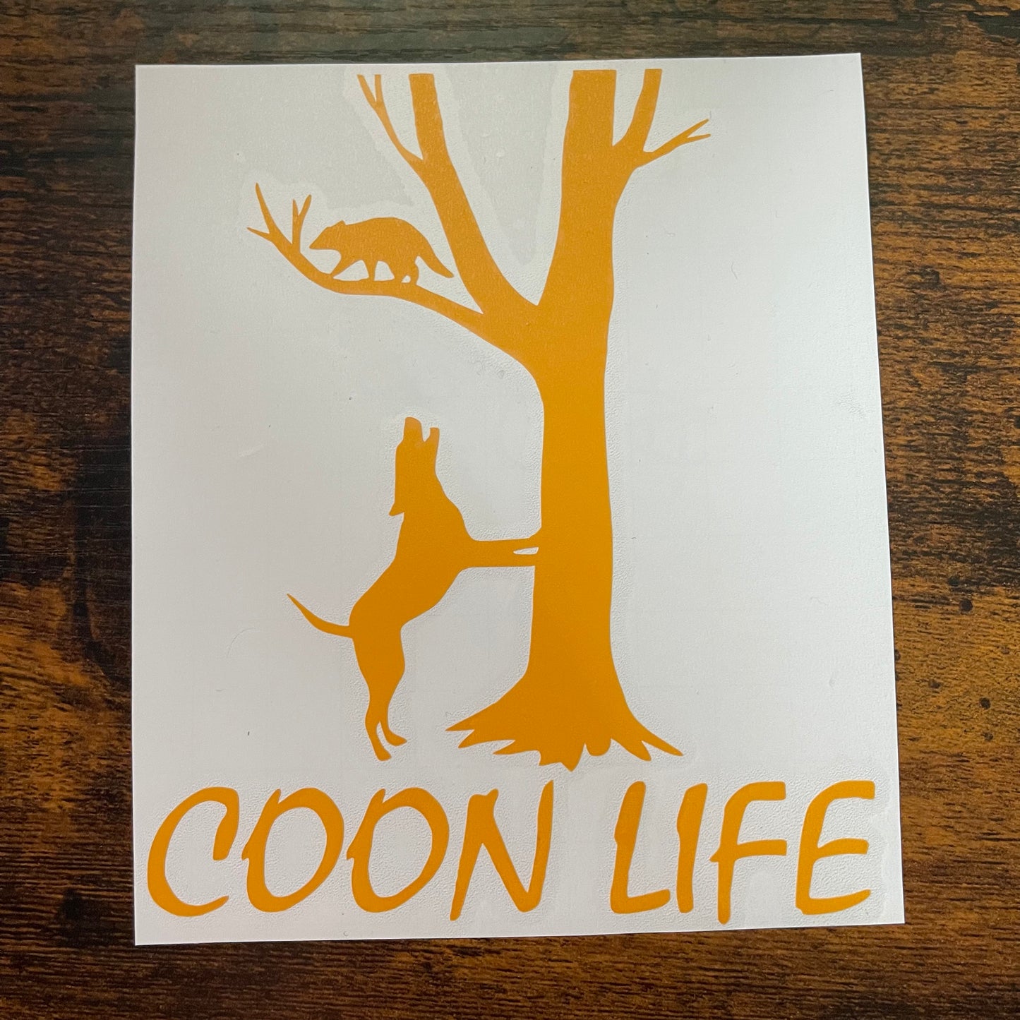 Coon Life 5" Yellow Decal (READY TO SHIP!)