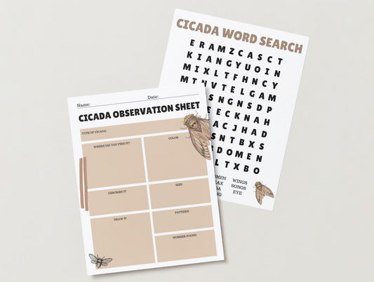 Cicada Unit Study | Homeschool | Insect | Digital Worksheets | Nature Study | Word Search | Observation Sheet