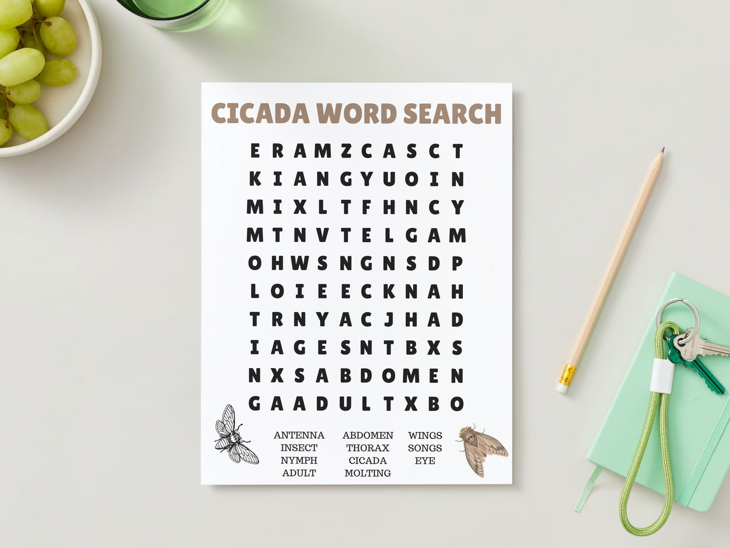 Cicada Unit Study | Homeschool | Insect | Digital Worksheets | Nature Study | Word Search | Observation Sheet